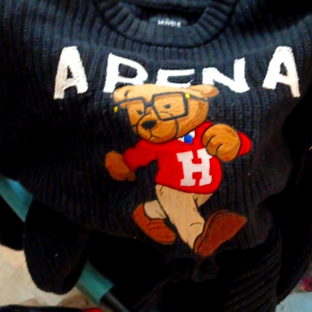 HUSTLE GANG BEAR STRUT SWEATER